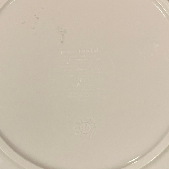 Pottery Barn Kids VTG Star Wars Melamine 9” plate Luke Skywalker Princess EUC - Picture 2 of 3